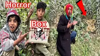 Jungle May Say Horror Box Mil Gya😱Lion Baby Bi Nazar A Gya🥰@PetHouse786 