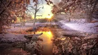 sunlight video jungle no copyright video