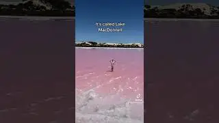 Pink lake Australia Eyre Peninsula South Australia Adventure Travel