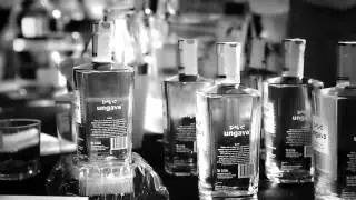 theGINday 2013 - Documentary