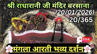 Live Mangla aarti darshan 20/01/2026 Barsana 🪷#radharani 