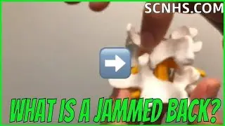 What Is a Jammed Back? | Reduce Back Pain