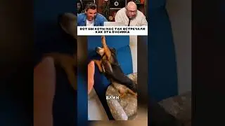 Вот бы коты нас так встречали 😹
