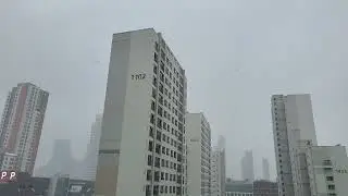 Snowing day of Sejong city, January 2026.