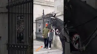 Horse guard parade #kingsguard #touristattraction ❤️
