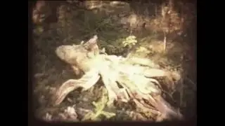 Moloken - Beginning Of The End (Official Video)