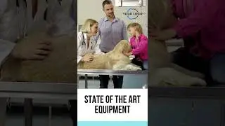 Veterinary Clinic Social Media Video Ad | Vertical Video #socialmediaadvertising #veterinarian