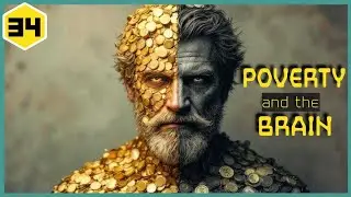 Is the Rich Smarter Than the Poor? True Causes of Poverty Explained!