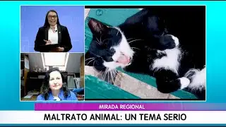 Mirada Regional, Cap. 6, Maltrato Animal y Guia Flora y Fauna Costera