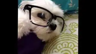 Twerk Team Charlie Style Vine Video
