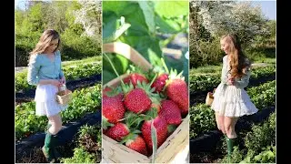 Strawberry Fields Forever ~ Strawberry Picking Outfit
