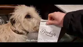 Return to Bewleys on Grafton Street for buttery Croissants