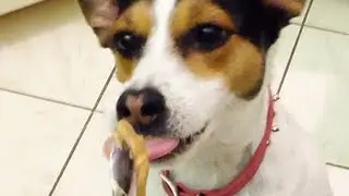 WTF?! Peanut Butter?! (Best Movie Ever)