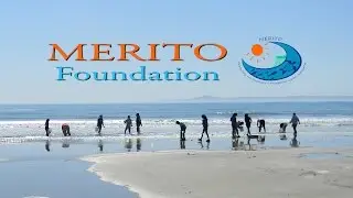 MERITO Foundation's Environment-based & STEM Education Programs