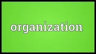Organization Meaning