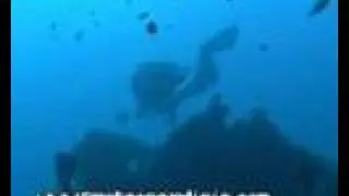 Nasello Wreck Diving - ProTec Sardinia