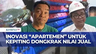 Showroom Tuan Crab di Padang, Pola Peningkatan Kualitas Kepiting Bakau Dalam Konsep 'Apartemen'
