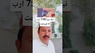 the price of a small stone piece is 7.5 billion rupees #shortsviral  #breakingnews