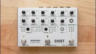Ghost: Endorphines and Andrew Huang made a mighty fine pedal!
