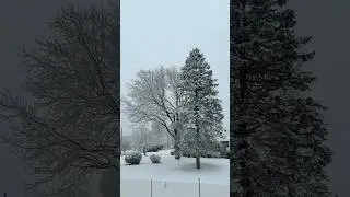 Papaoutai Snowfall Slow Motion