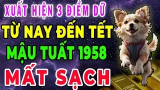 Giật Mình Tuổi Mậu Tuất 1958 Từ Nay Đến Tết ÂL Có Điềm Báo Lớn Kiểu Gì Chắc Chắn Cũng Xảy Ra