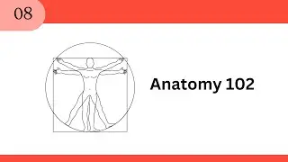 [Basic TT] Anatomy 102