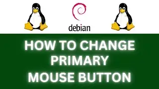 How To Change The Primary Mouse Button In The Debian Linux OS : Step-By-Step Tutorial