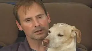 Chester The Bed Bug Dog Full Video