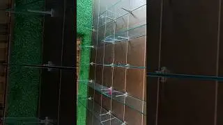 Glass Shelf With F Brackets, This gives a good look to your house and shop and is also adjustable