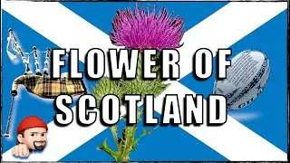 Flower Of Scotland, hymne écossais aussi célèbre que la Marseillaise pour les fans de rugby