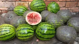 Washing muddy watermelon