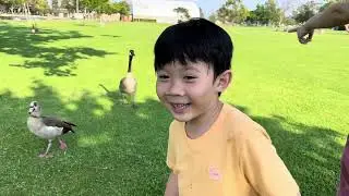 Mile Square Park- Fountain Valley, CA