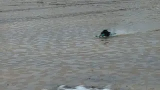 alpha-6 rc snowmobile deep water skipping