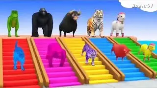 Animals video in cartoon game -3D animal game-funny 3D animals 
