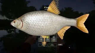 RF4 Fresh Spot / Trophy Taran, Tarań / 19.10.2025