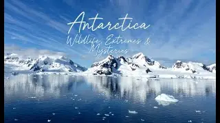 Amazing Antarctica Facts | Wildlife, Extremes & Mysteries of the Frozen Continent (Sleep Story)