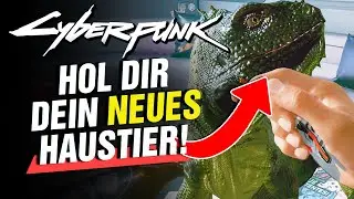 Leguan Haustier f&uuml;r dein Apartment! Cyberpunk 2077 Guide