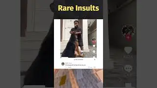 Rare Insults that you NEED! #rareinsults #funny #insult