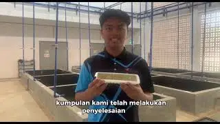 JELLY CHLORELLA MOINA