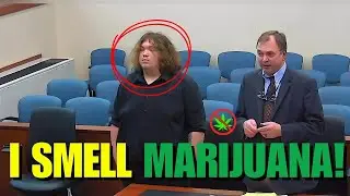 &ldquo;I Smell Marijuana!&rdquo; Judge Cancels Bond On The Spot 😱⚖️