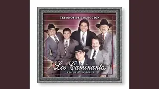 Coraz&oacute;n Bohemio