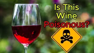 Are Elderberries Poisonous?