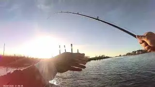 Kayak fishing at Grand Bayou