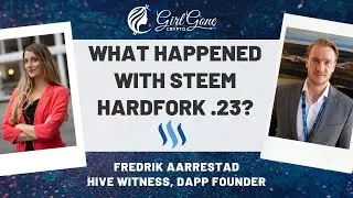 Millions of Steem Taken and then Returned? Interview with Hive Witness Fredrik Aarrestad