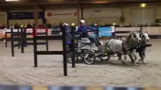 2014_11 Paard en Koets - 8