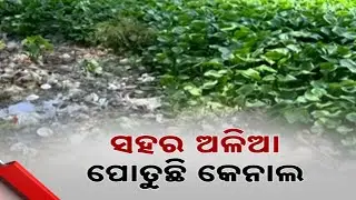 Will Kendrapara&rsquo;s Historic Canal Disappear? Farmers Face Water Crisis