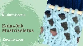 Kalavõrk. Mustri dekodeerimine #2