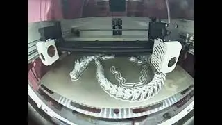 Articulated Dragon 3D Print Time Lapse