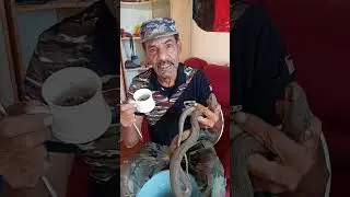 أخطر تجربة كادت ان تلدغني #ياسين_الصقور #اكسبلور #طيور #افاعي 