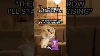 CAT MEMES 🐱 NEW YEAR&rsquo;S RESOLUTION #relatable #cat #funny #resolution #shorts